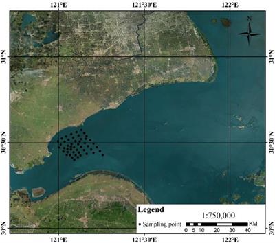 Remote sensing of suspended sediment in high turbid estuary from sentinel-3A/OLCI: A case study of Hangzhou Bay